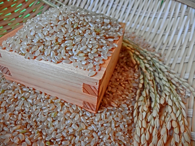 玄米でケイ素（シリカ・珪素）を補えるって本当？